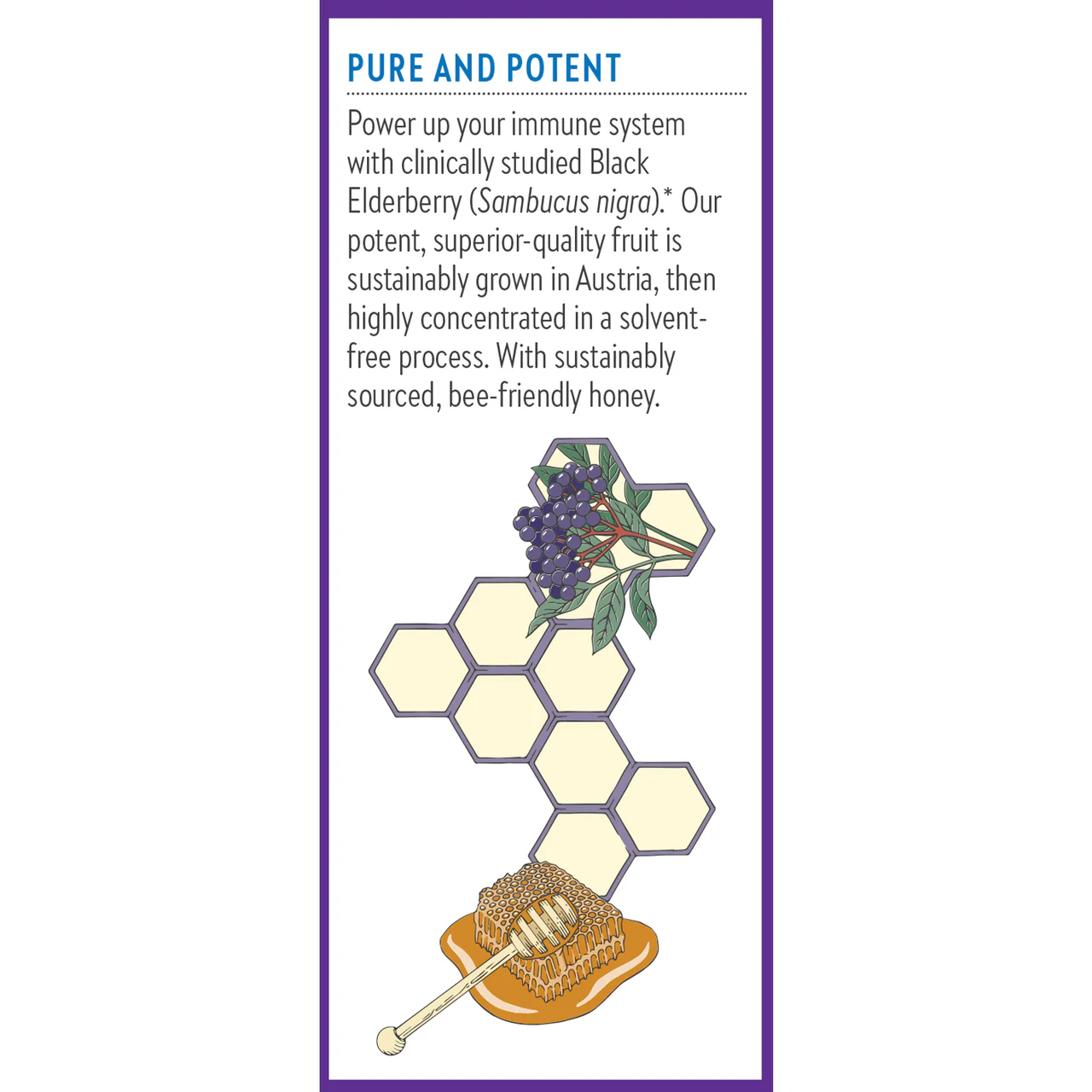 Elderberry Syrup + Honey - Image 6