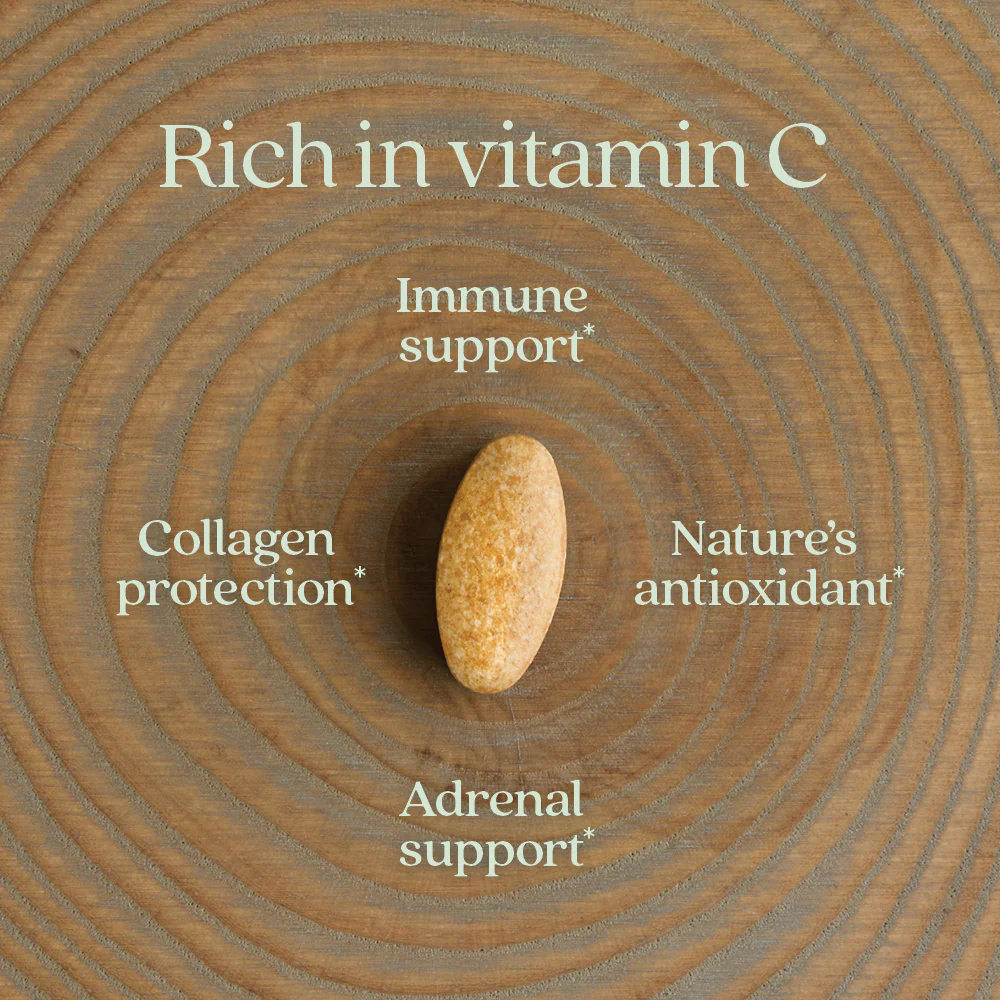 Fermented Vitamin C Supplement - Image 4