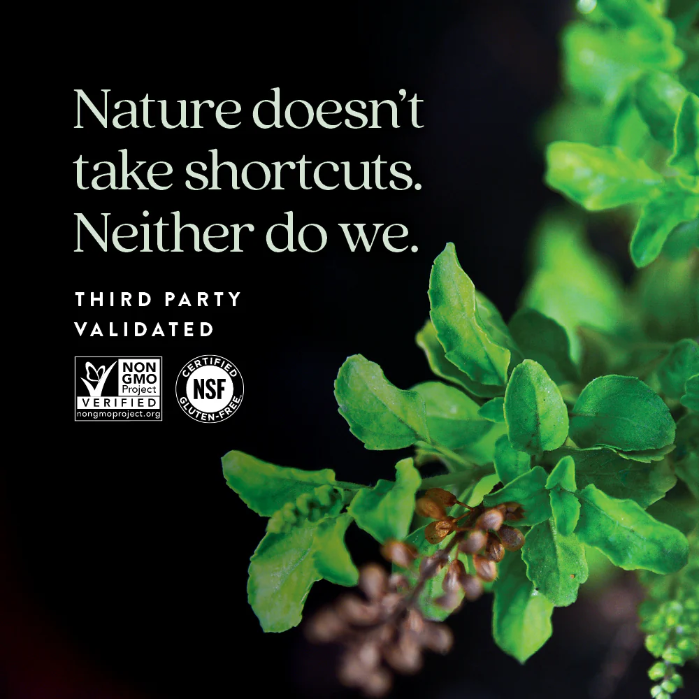 Holy Basil Force™ - Image 5