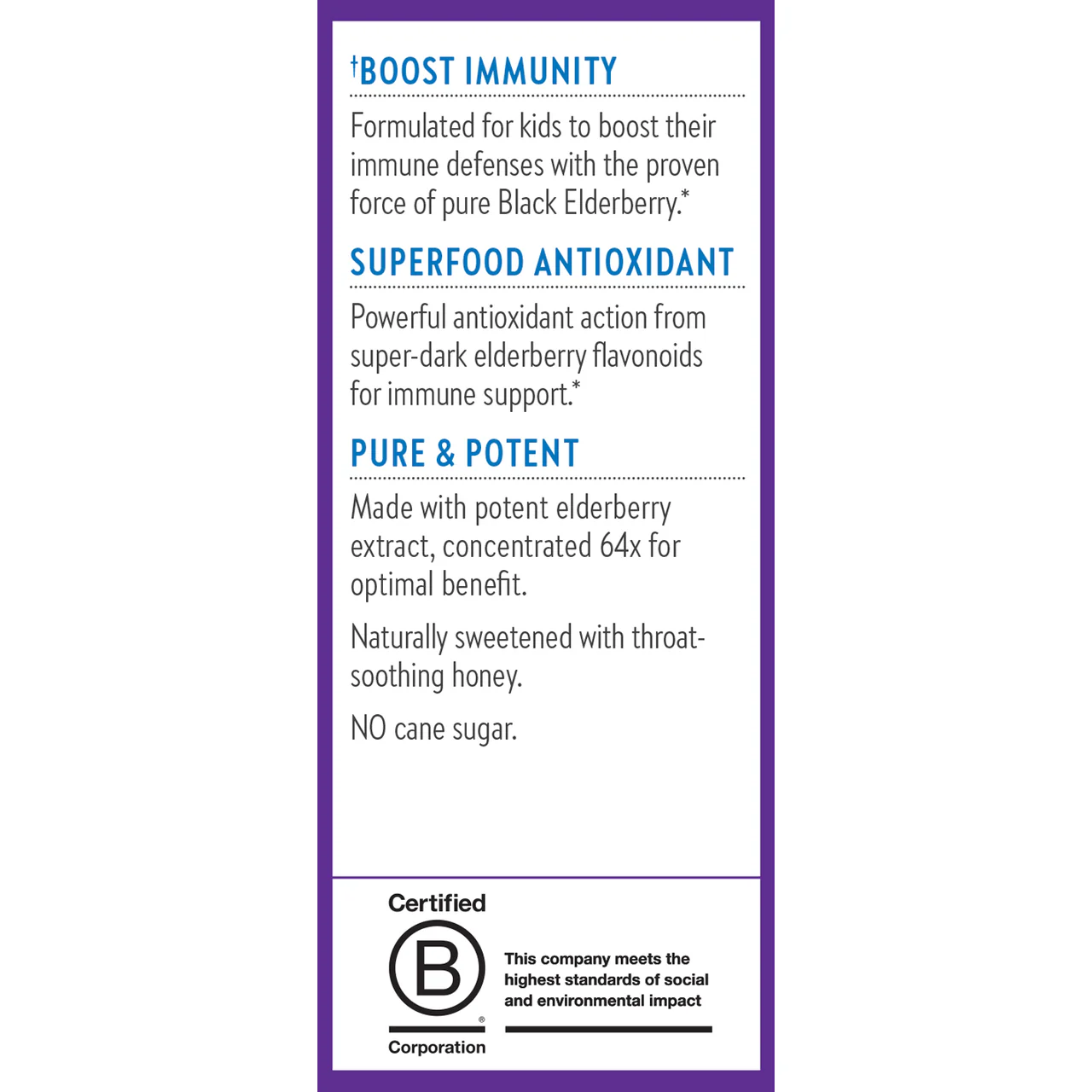 Kids Elderberry Syrup + Honey - Image 7