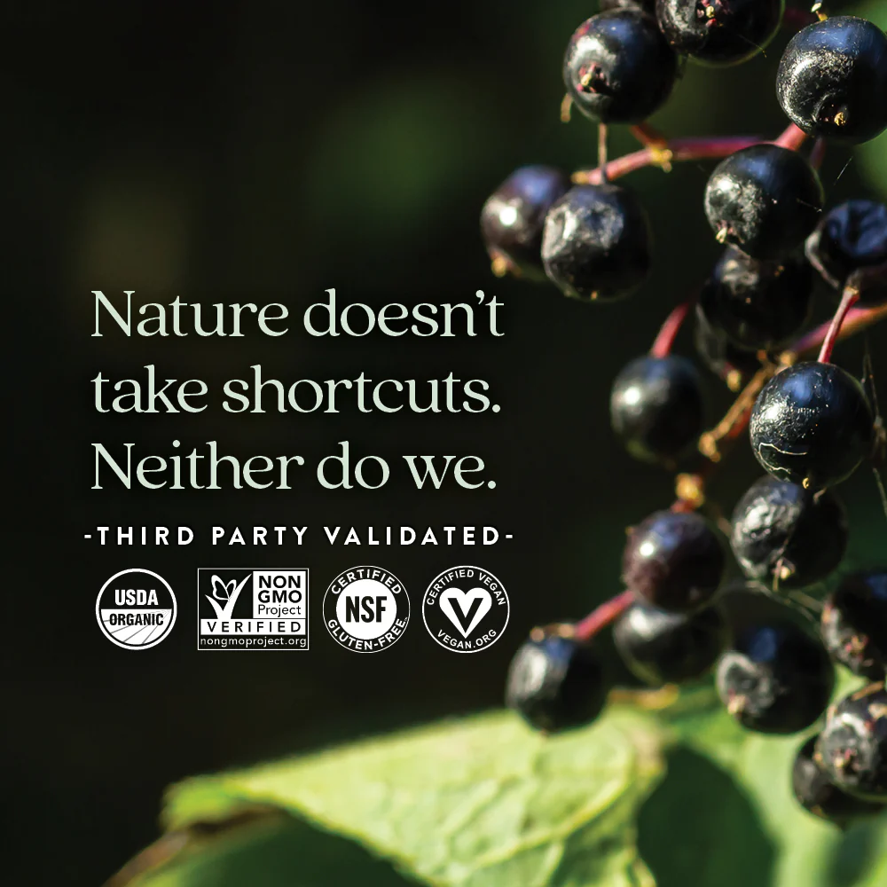 Kids Organic Elderberry Whole-Food Gummies - Image 5
