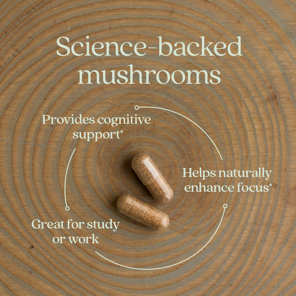Mind Force™ Lion’s Mane Mushroom Blend - Image 4
