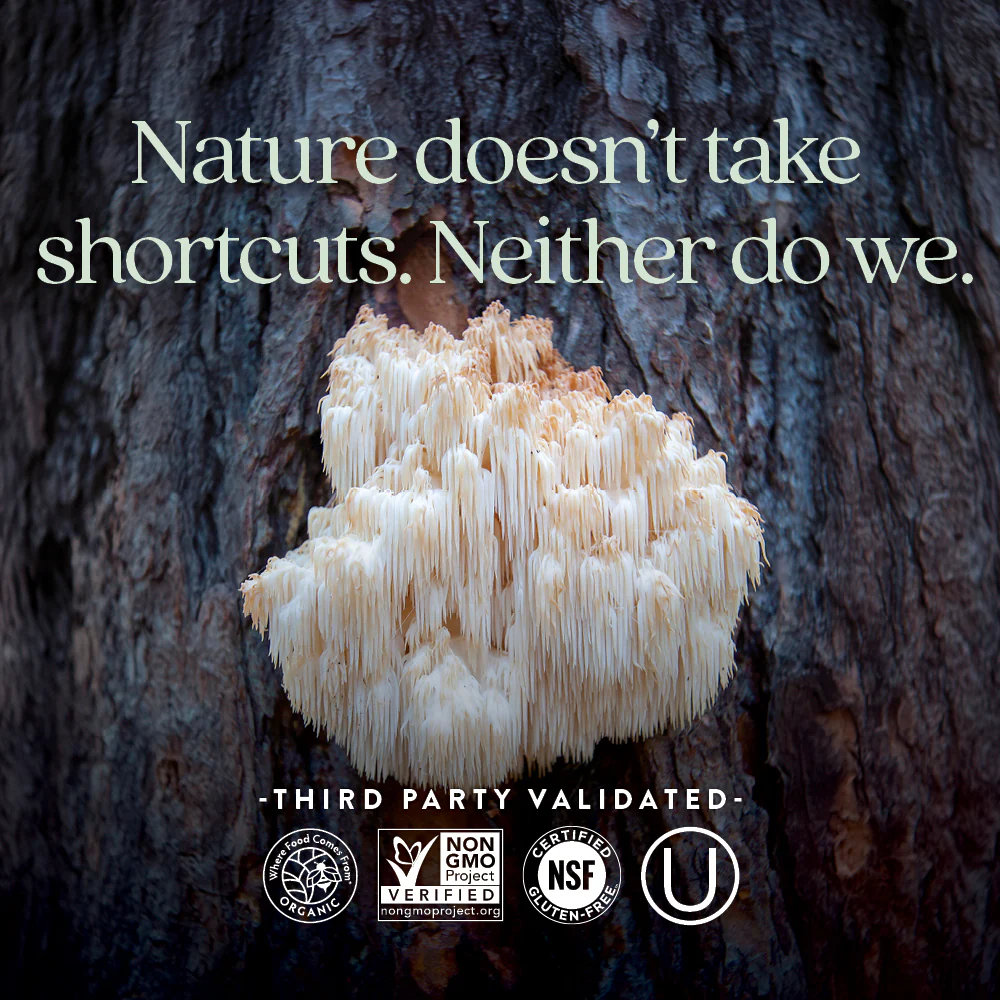 Mind Force™ Lion’s Mane Mushroom Blend - Image 5