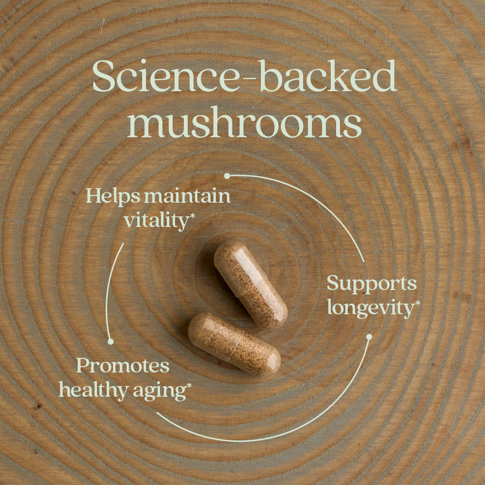 Healthy Aging: Reishi Mushroom Blend - Image 4