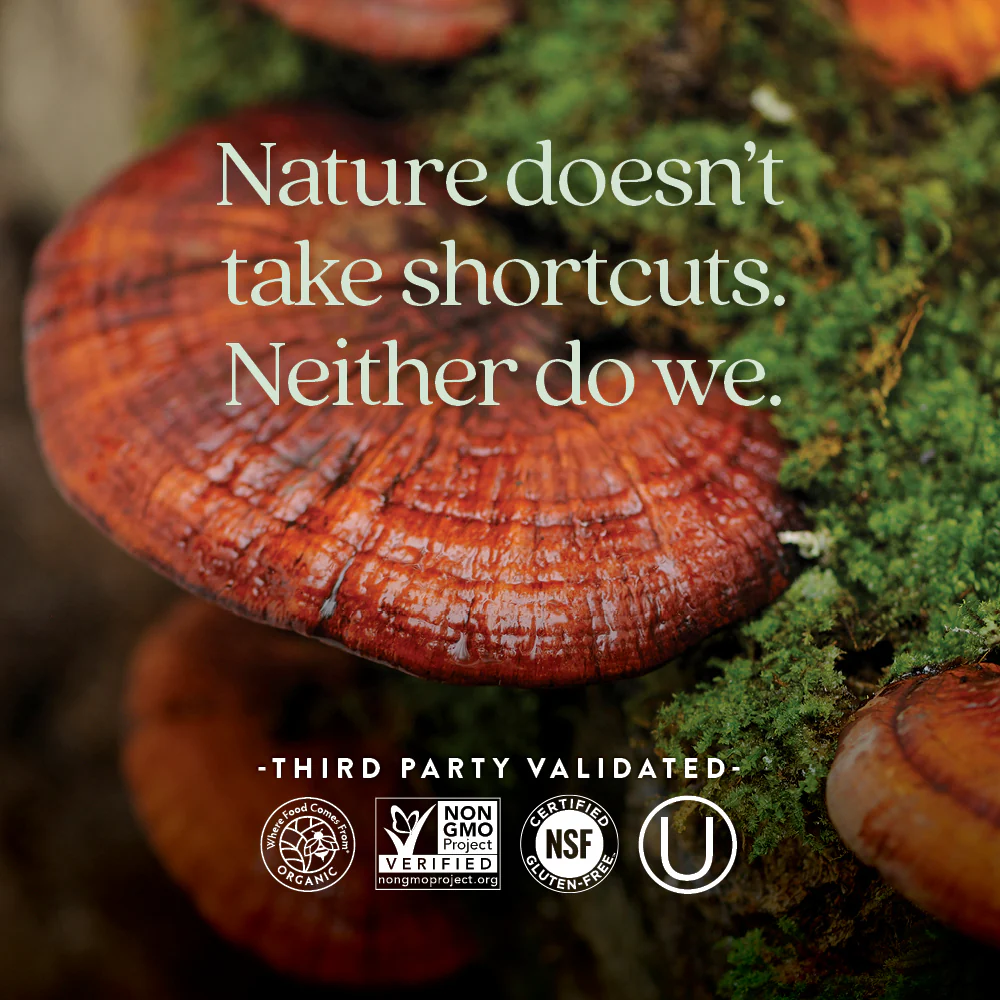Healthy Aging: Reishi Mushroom Blend - Image 5