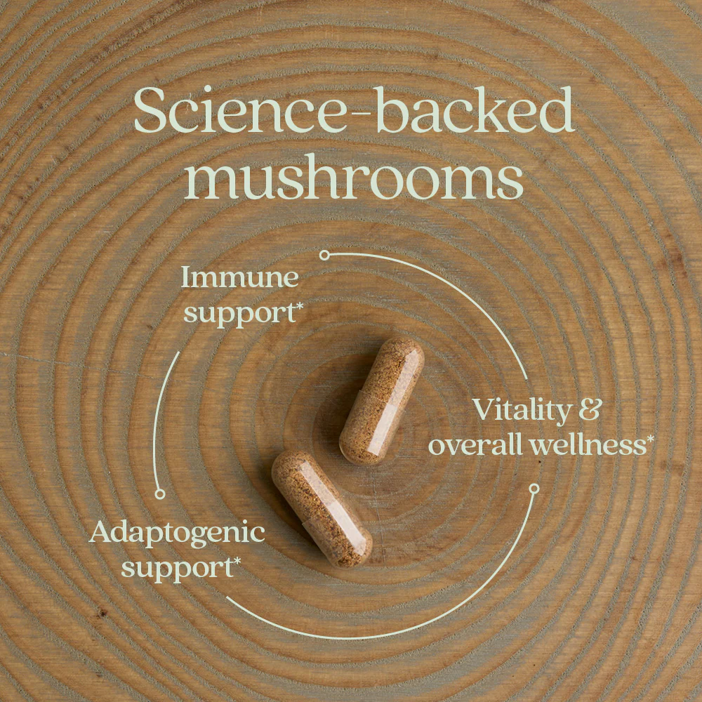 Immune Support: Reishi & Shiitake Mushroom Blend - Image 4