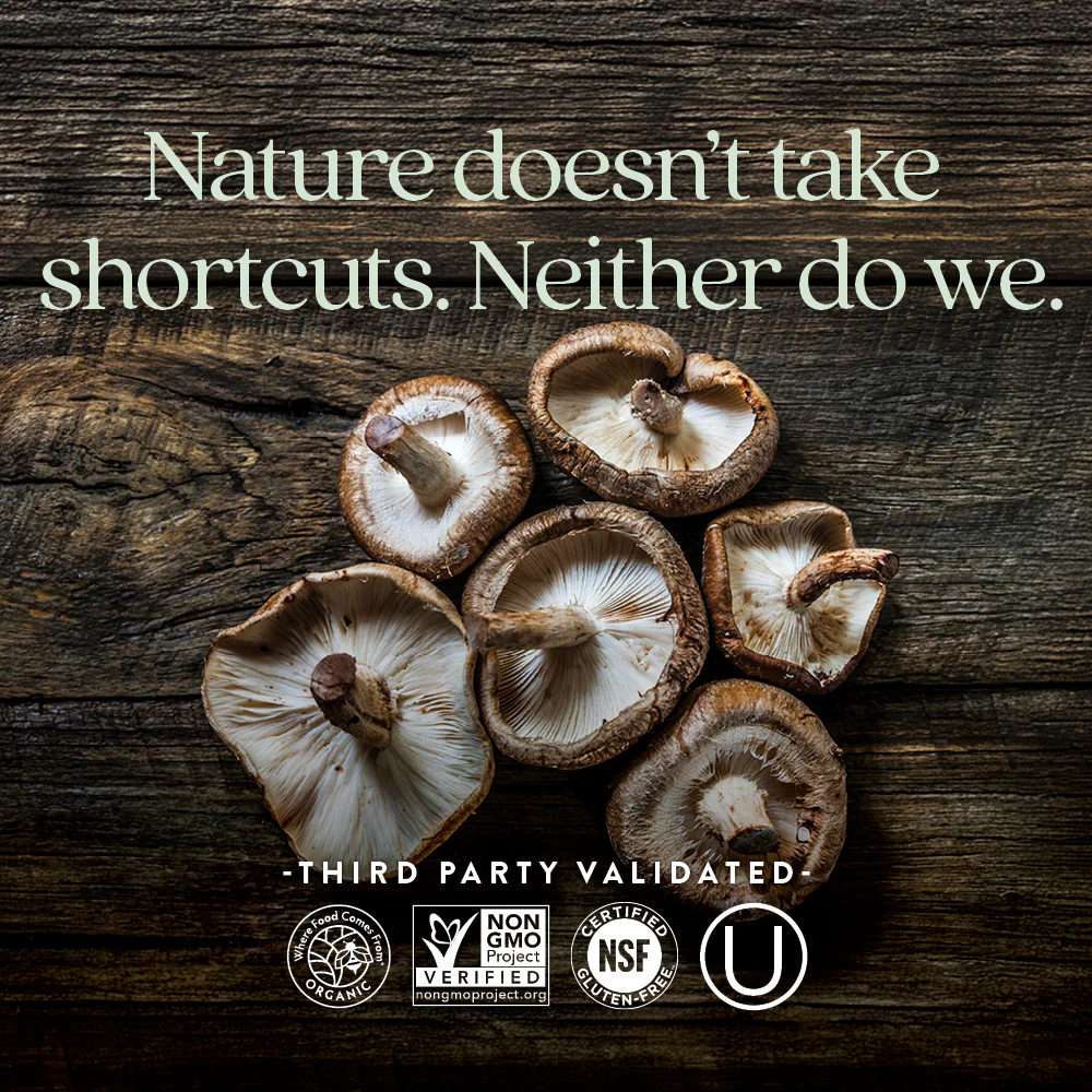 Immune Support: Reishi & Shiitake Mushroom Blend - Image 5