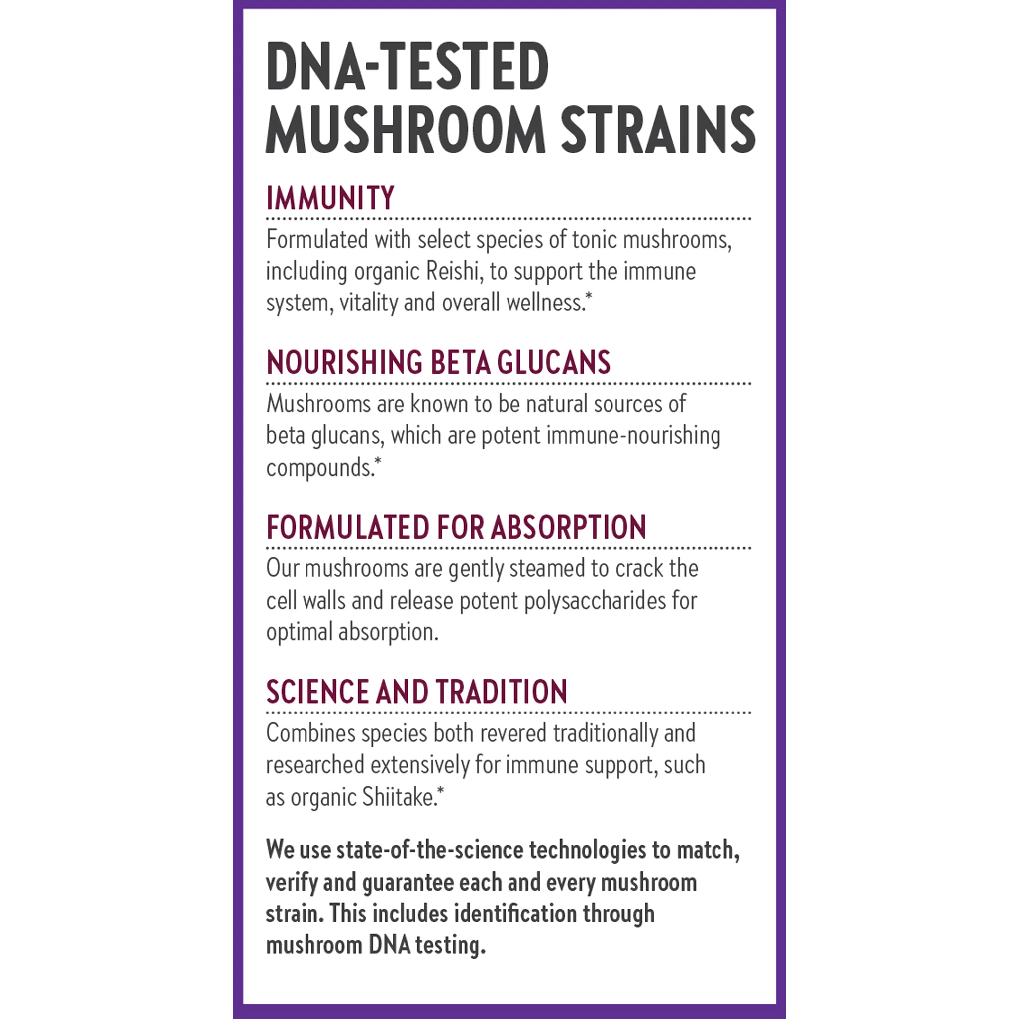 Immune Support: Reishi & Shiitake Mushroom Blend - Image 6