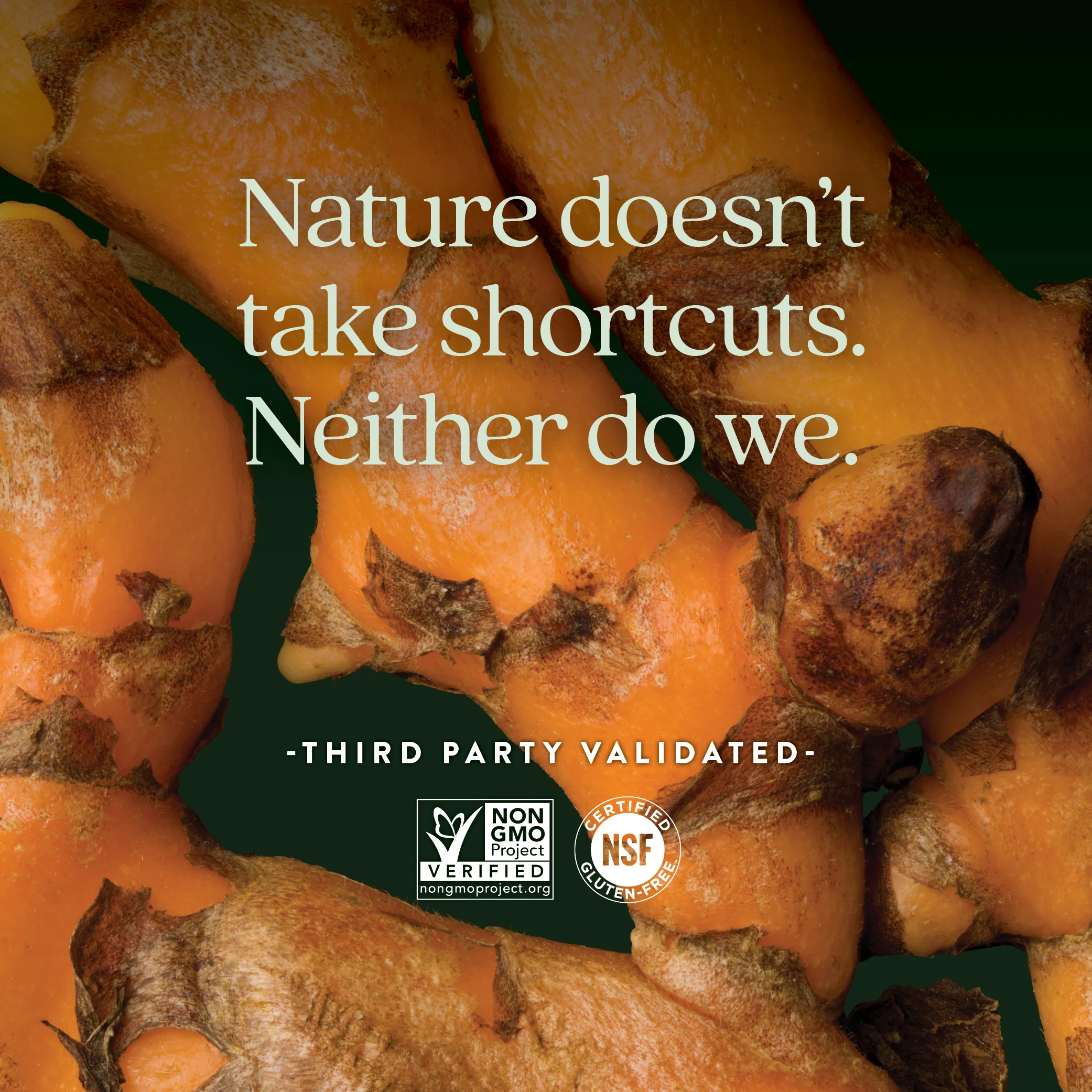 Turmeric Force™ - Image 5
