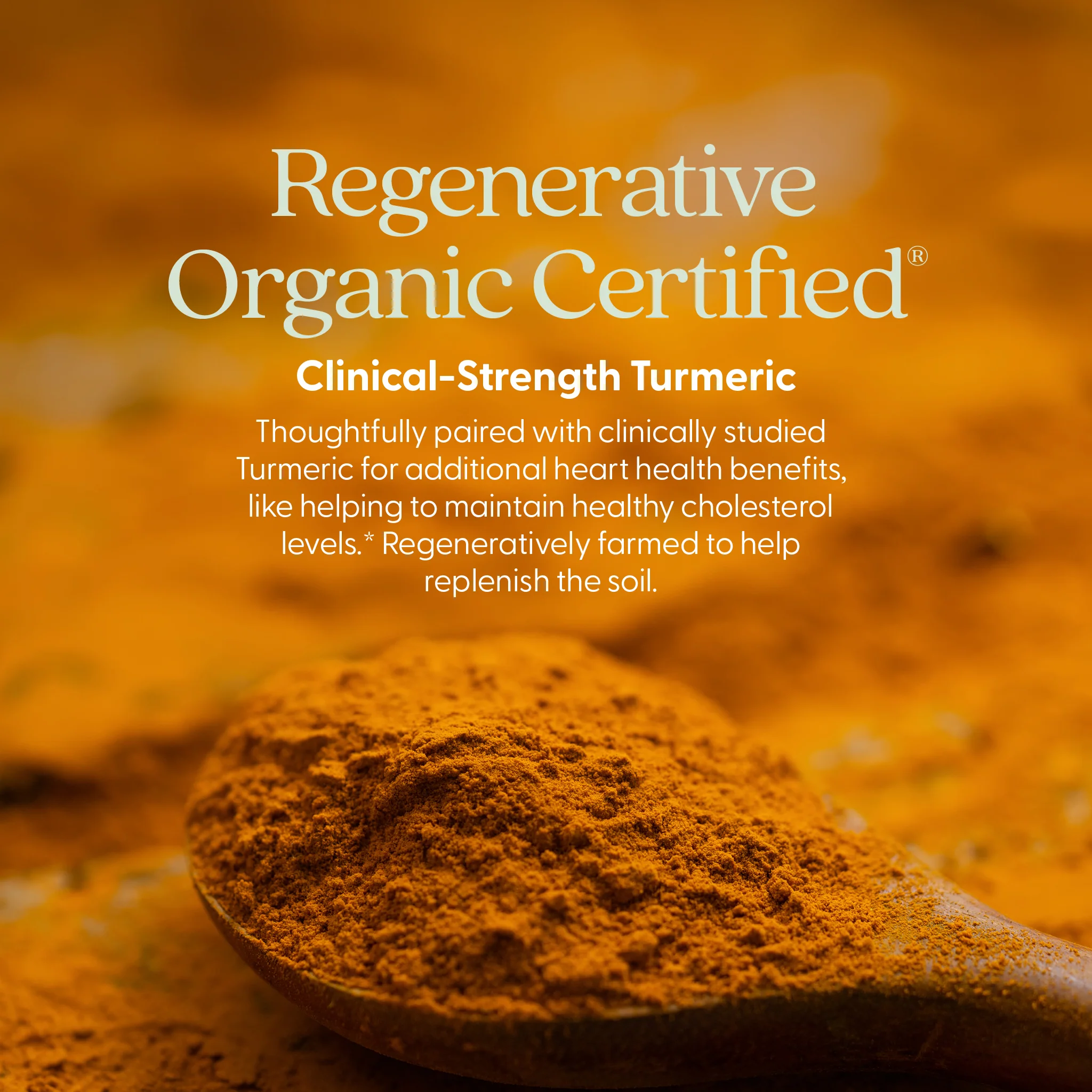 Advanced D3 & K2 + Turmeric - Image 5