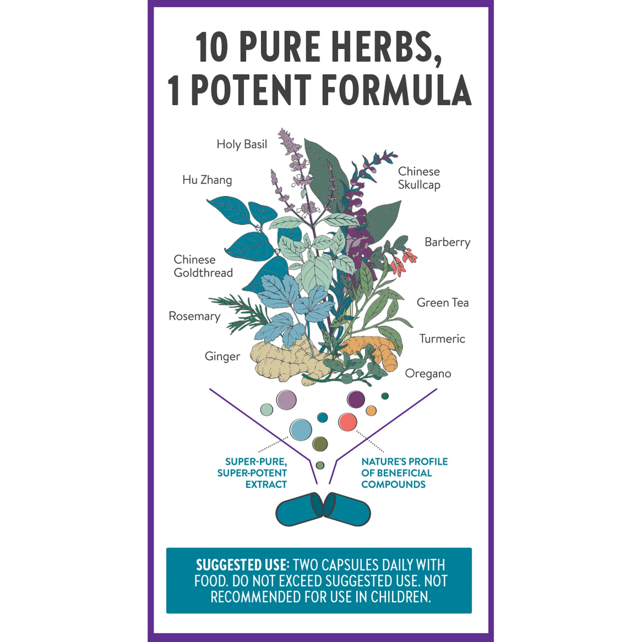 Zyflamend™: Herbal Pain Relief† & Inflammation Support† - Image 8